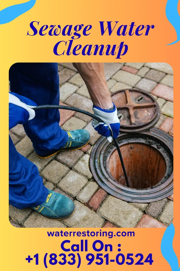 Sewage Water Cleanup in Center Point, IN